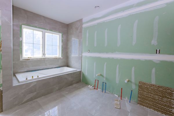 Bathroom Gutting in Georgetown